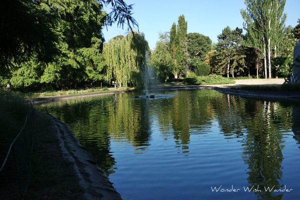 Danube Park, Novi Sad