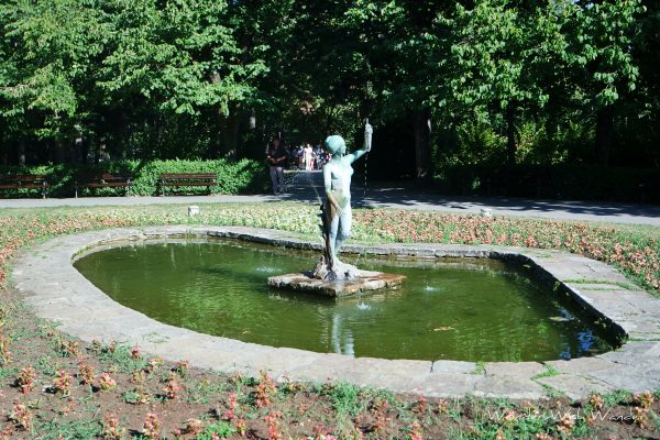 Danube Park, Novi Sad