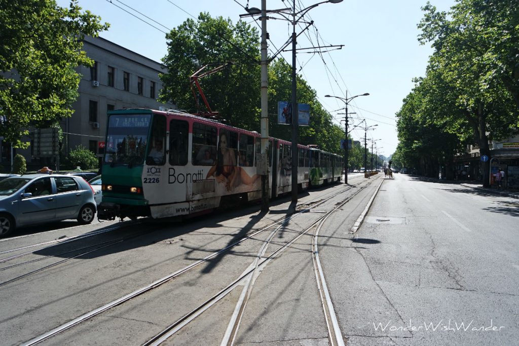 Trams, Belgrade