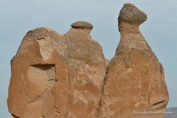 Camel fairy chimneys, Cappadocia, Turkey